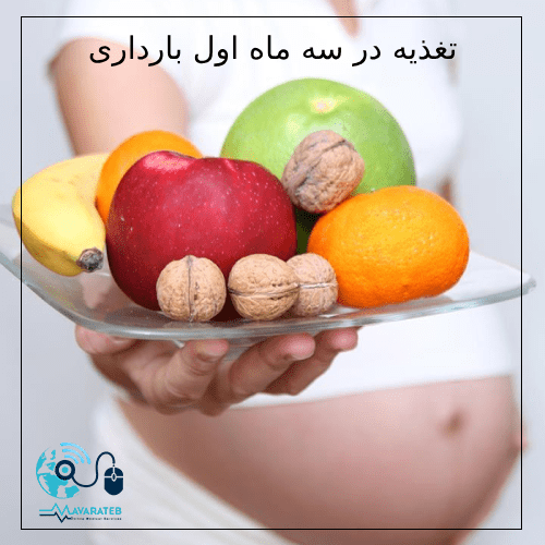 تغذیه در سه ماه اول بارداری