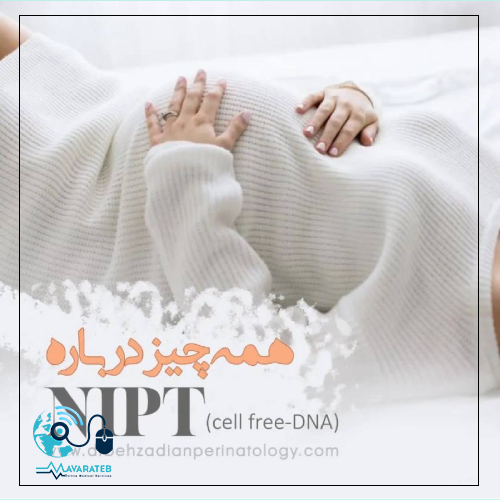 همه چیز درباره NIPT