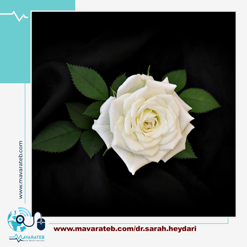بهترین روش سفید کردن ناحیه تناسلی