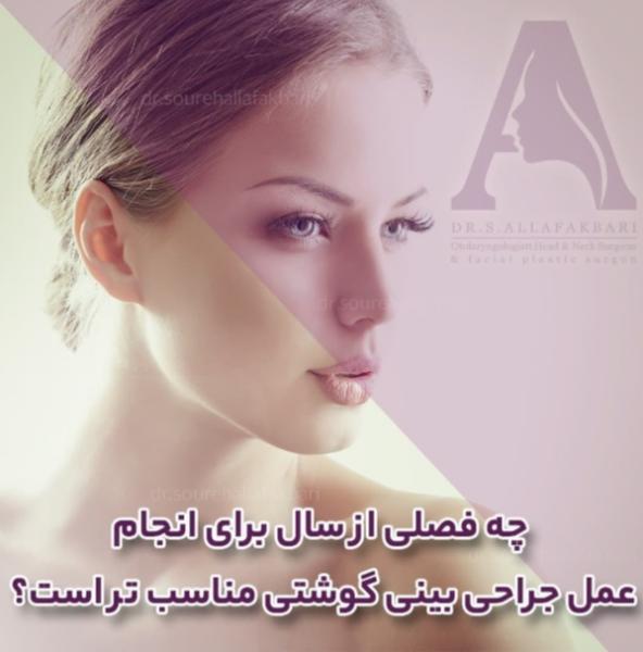 بهترین فصلی که می توانید بینی خود را عمل کنید!