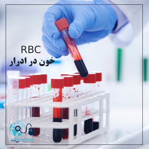 RBC در آزمایش ادرار چیست