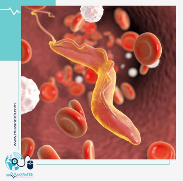 بیماری وبا و علائم آن: