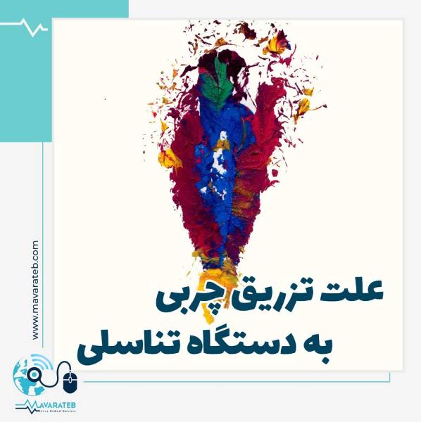 علت تزریق چربی به واژن چیست؟